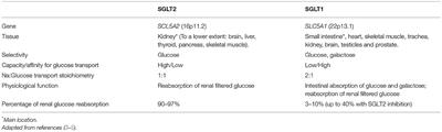 Sodium-Glucose Cotransporter 2 Inhibitors Mechanisms of Action: A Review